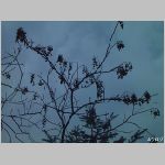 20070316 11.jpg
